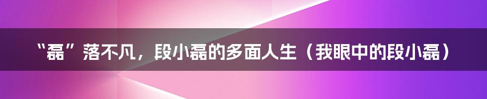 “磊”落不凡，段小磊的多面人生（我眼中的段小磊）