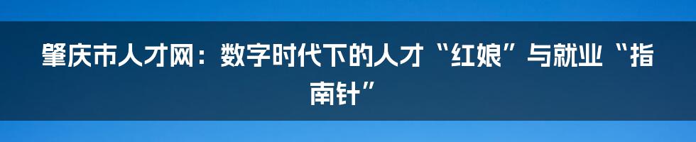 肇庆市人才网：数字时代下的人才“红娘”与就业“指南针”