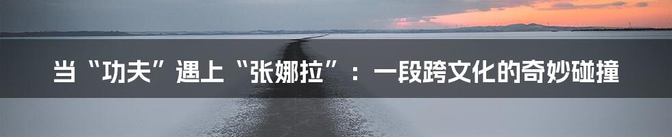 当“功夫”遇上“张娜拉”：一段跨文化的奇妙碰撞