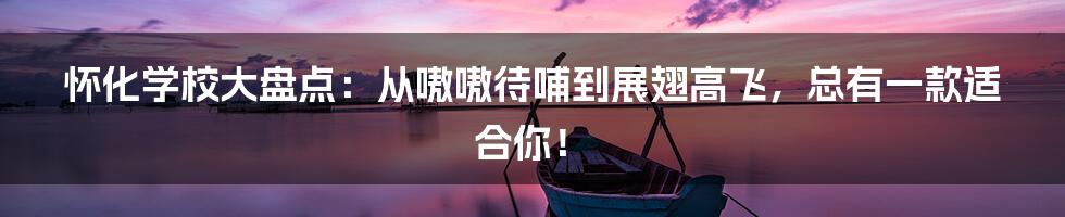 怀化学校大盘点：从嗷嗷待哺到展翅高飞，总有一款适合你！