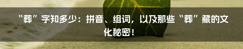 “葬”字知多少：拼音、组词，以及那些“葬”藏的文化秘密！