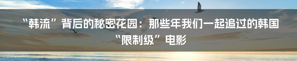 “韩流”背后的秘密花园：那些年我们一起追过的韩国“限制级”电影