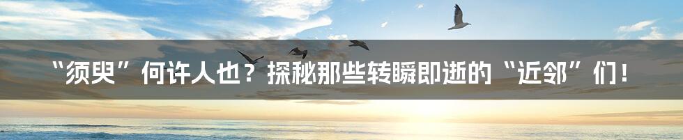 “须臾”何许人也？探秘那些转瞬即逝的“近邻”们！