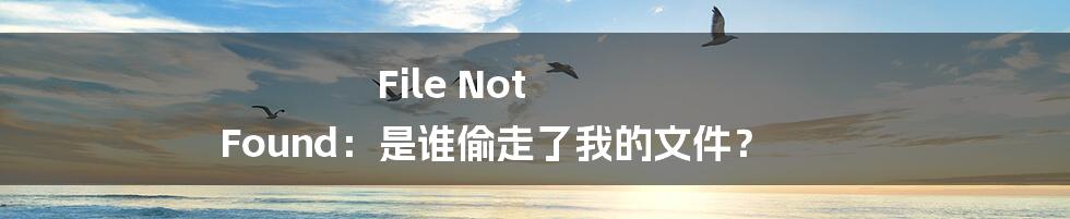 File Not Found：是谁偷走了我的文件？