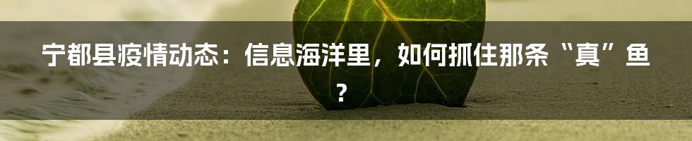 宁都县疫情动态:信息海洋里,如何抓住那条“真”鱼?