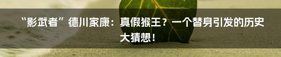 “影武者”德川家康:真假猴王?一个替身引发的历史大猜想!