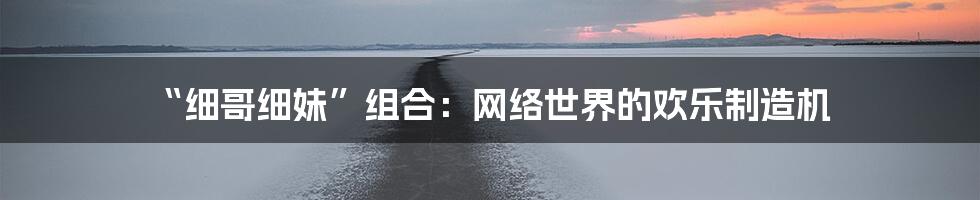 “细哥细妹”组合：网络世界的欢乐制造机