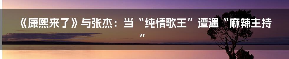 《康熙来了》与张杰：当“纯情歌王”遭遇“麻辣主持”