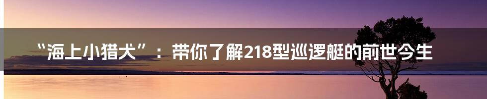 “海上小猎犬”：带你了解218型巡逻艇的前世今生