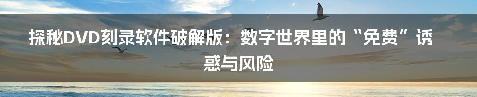 探秘DVD刻录软件破解版:数字世界里的“免费”诱惑与风险