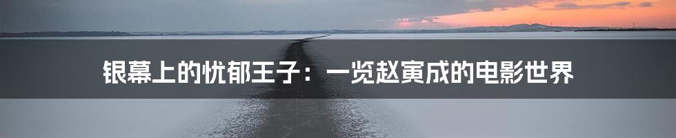 银幕上的忧郁王子：一览赵寅成的电影世界