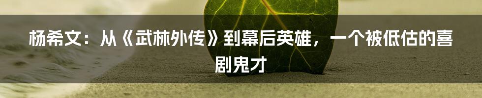 杨希文：从《武林外传》到幕后英雄，一个被低估的喜剧鬼才