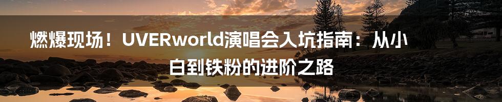 燃爆现场！UVERworld演唱会入坑指南：从小白到铁粉的进阶之路