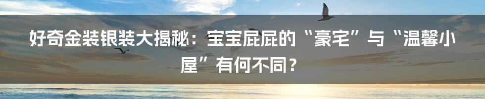 好奇金装银装大揭秘:宝宝屁屁的“豪宅”与“温馨小屋”有何不同?