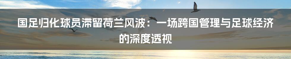 国足归化球员滞留荷兰风波:一场跨国管理与足球经济的深度透视