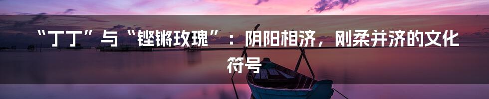“丁丁”与“铿锵玫瑰”：阴阳相济，刚柔并济的文化符号