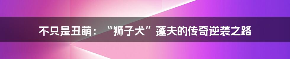 不只是丑萌：“狮子犬”蓬夫的传奇逆袭之路