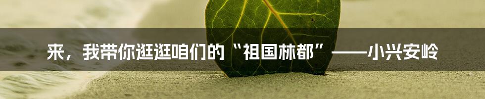 来，我带你逛逛咱们的“祖国林都”——小兴安岭