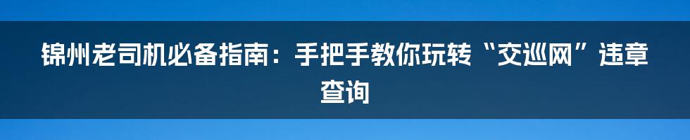 锦州老司机必备指南：手把手教你玩转“交巡网”违章查询