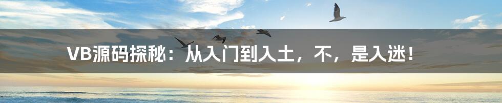 VB源码探秘：从入门到入土，不，是入迷！