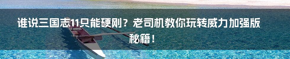 谁说三国志11只能硬刚？老司机教你玩转威力加强版秘籍！