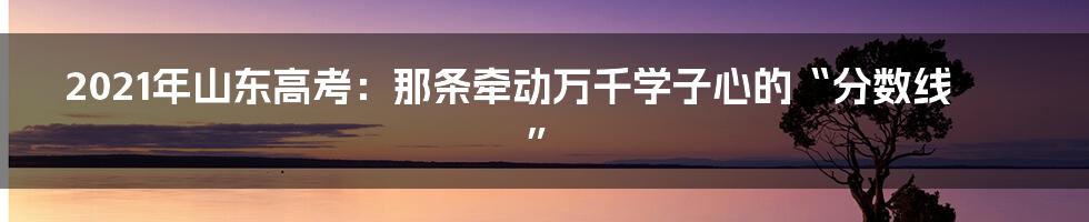 2021年山东高考：那条牵动万千学子心的“分数线”
