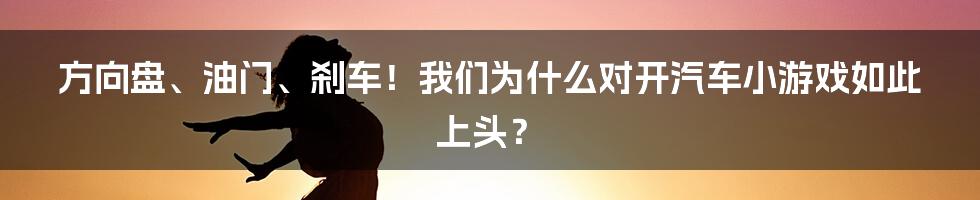 方向盘、油门、刹车！我们为什么对开汽车小游戏如此上头？