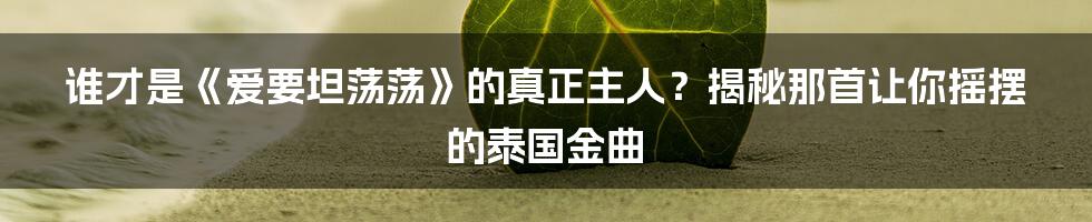 谁才是《爱要坦荡荡》的真正主人？揭秘那首让你摇摆的泰国金曲