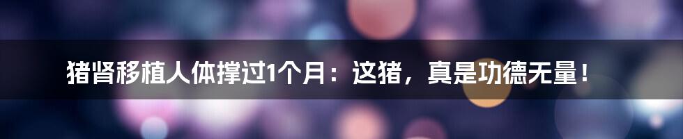 猪肾移植人体撑过1个月：这猪，真是功德无量！