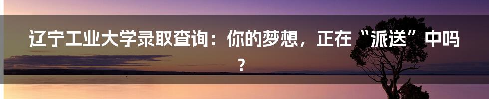 辽宁工业大学录取查询：你的梦想，正在“派送”中吗？