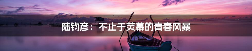 陆钧彦:不止于荧幕的青春风暴