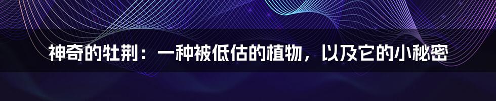 神奇的牡荆：一种被低估的植物，以及它的小秘密