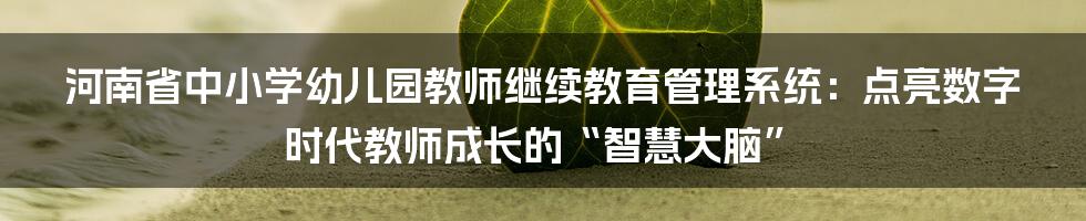 河南省中小学幼儿园教师继续教育管理系统:点亮数字时代教师成长的“智慧大脑”