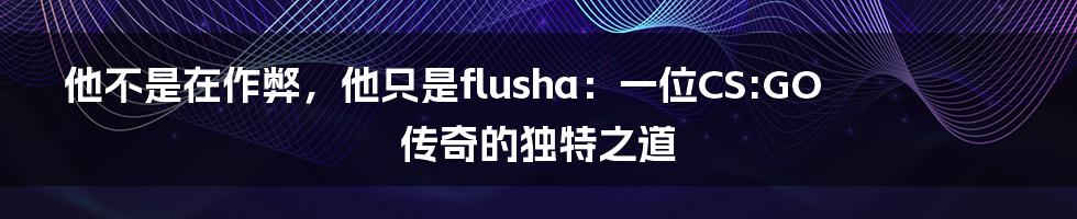 他不是在作弊，他只是flusha：一位CS:GO传奇的独特之道