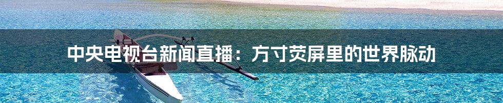 中央电视台新闻直播：方寸荧屏里的世界脉动