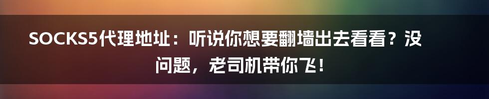 SOCKS5代理地址：听说你想要翻墙出去看看？没问题，老司机带你飞！