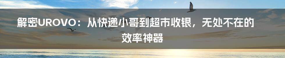解密UROVO：从快递小哥到超市收银，无处不在的效率神器