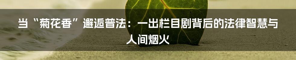 当“菊花香”邂逅普法：一出栏目剧背后的法律智慧与人间烟火