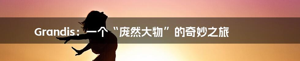 Grandis：一个“庞然大物”的奇妙之旅