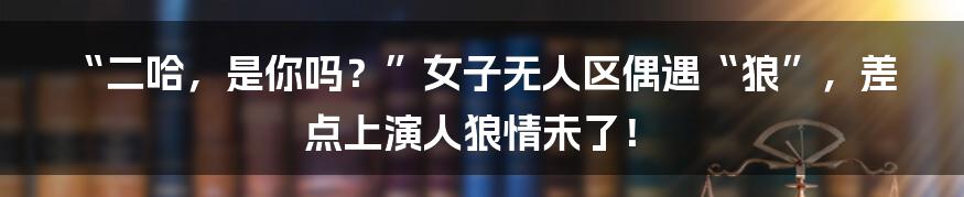 “二哈，是你吗？”女子无人区偶遇“狼”，差点上演人狼情未了！