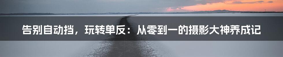 告别自动挡，玩转单反：从零到一的摄影大神养成记