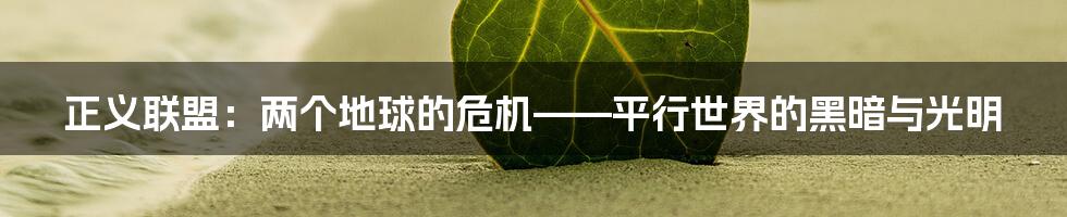 正义联盟：两个地球的危机——平行世界的黑暗与光明