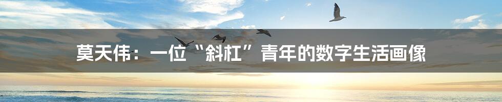 莫天伟:一位“斜杠”青年的数字生活画像