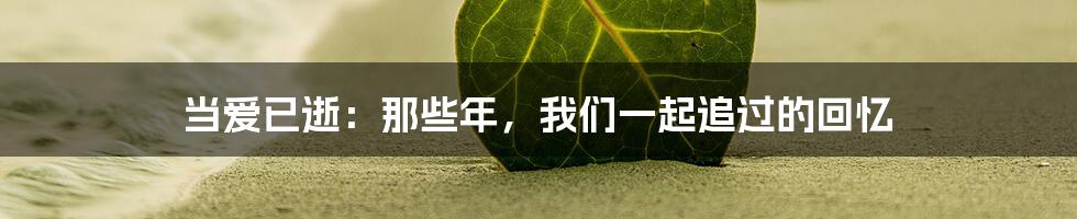 当爱已逝：那些年，我们一起追过的回忆