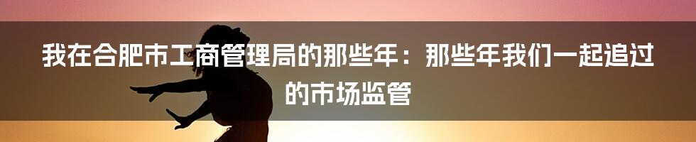 我在合肥市工商管理局的那些年:那些年我们一起追过的市场监管