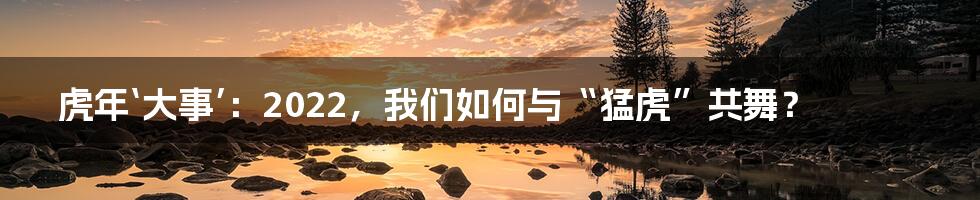 虎年‘大事’：2022，我们如何与“猛虎”共舞？