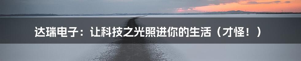 达瑞电子:让科技之光照进你的生活(才怪!)