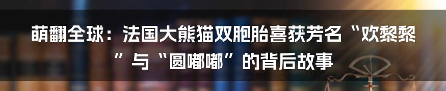 萌翻全球：法国大熊猫双胞胎喜获芳名“欢黎黎”与“圆嘟嘟”的背后故事