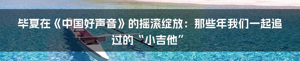 毕夏在《中国好声音》的摇滚绽放:那些年我们一起追过的“小吉他”