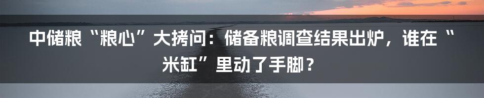 中储粮“粮心”大拷问：储备粮调查结果出炉，谁在“米缸”里动了手脚？